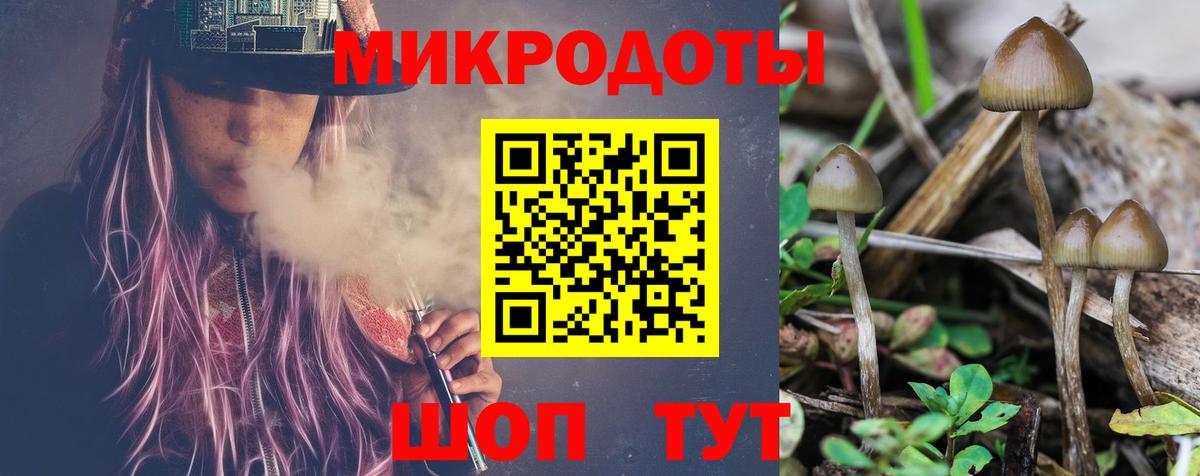 Псилоцибиновые грибы прущие грибы Донской