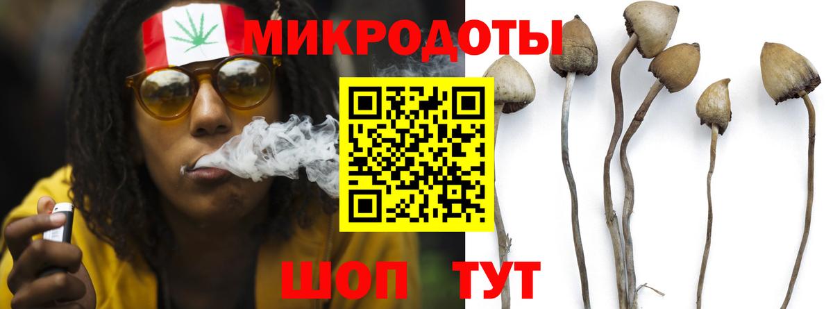 Галлюциногенные грибы Psilocybe  Вход с VPN  Псилоцибиновые грибы Magic Shrooms  Донской 